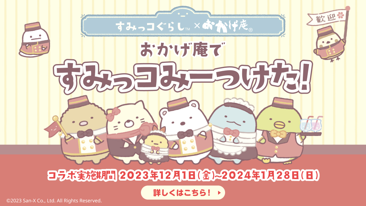 キャンペーン情報